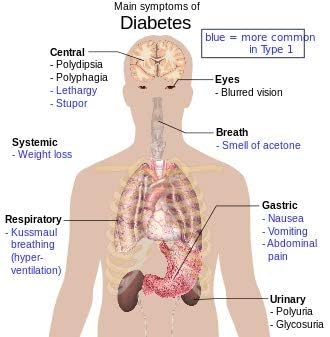 Diabetic Patch (6)